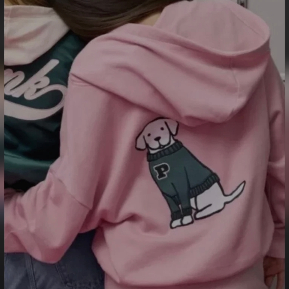 PINK Dog Graphic Hoodie and Sweatpants - Picture 14 of 16